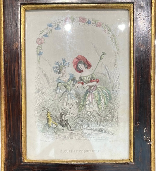 Set of 12 Les Fleurs Animees Lithographs from J.J. Grandville SOLD ONLY AS A SET