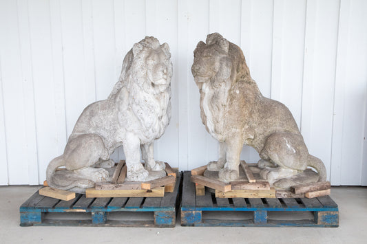 Exquisite 53” Tall Concrete Lions - A Pair