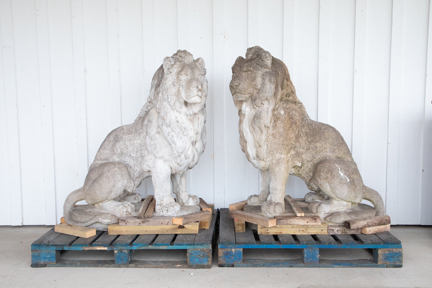 Large Concrete Lion