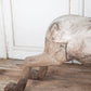Hardwood Spanish Horse Sculptures Circa 1900