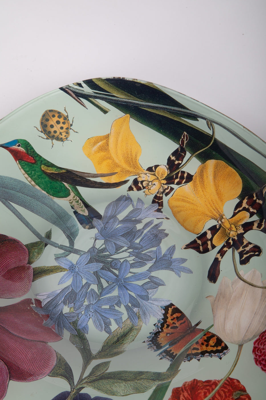 Alex Stewart Carter Flower and Hummingbird Plate