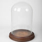 Large Glass Dome with Wooden Base