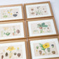 Hand Colored Engraving Set of 11