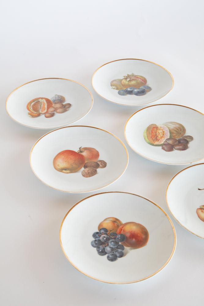 Set of 6 Bavarian Fruit Plates c.1870