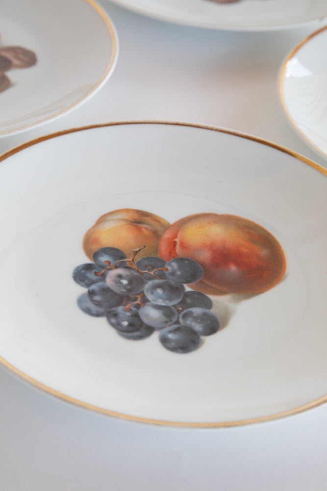 Set of 6 Bavarian Fruit Plates c.1870